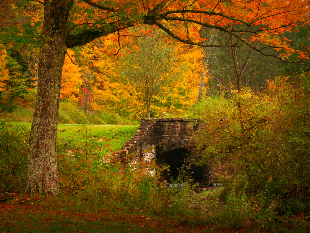 Stoddard Creek Stoddard Creek at the picnic area. Allegany… Flickr