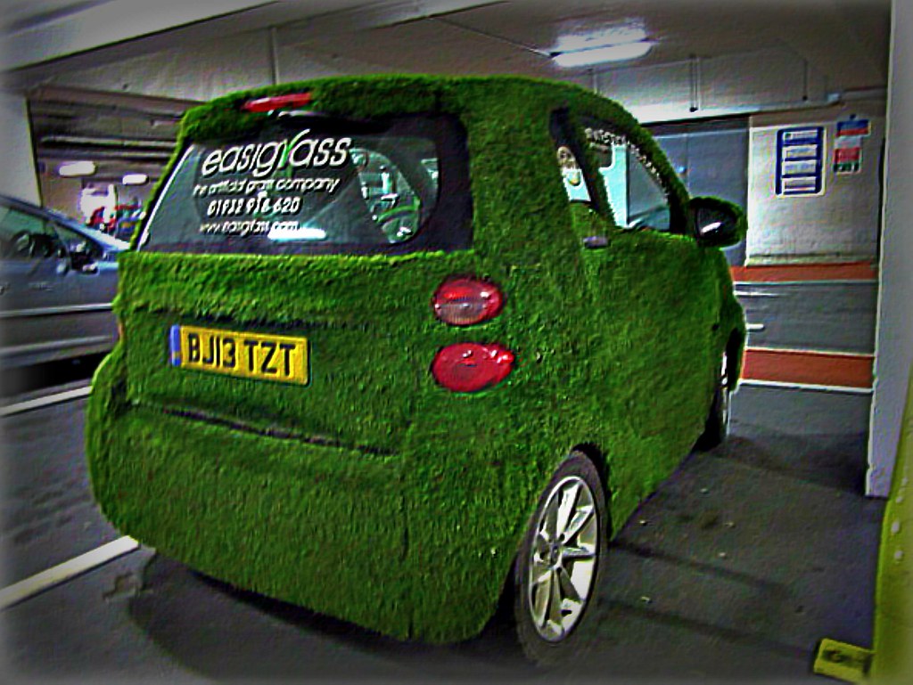 'esigrass ' artificial grass .. 2013 Smart Car.. a photo on Flickriver