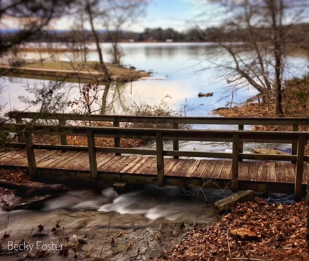 Shoal Bay Shoal Bay recreation area. New Blaine Arkansas. beckfost