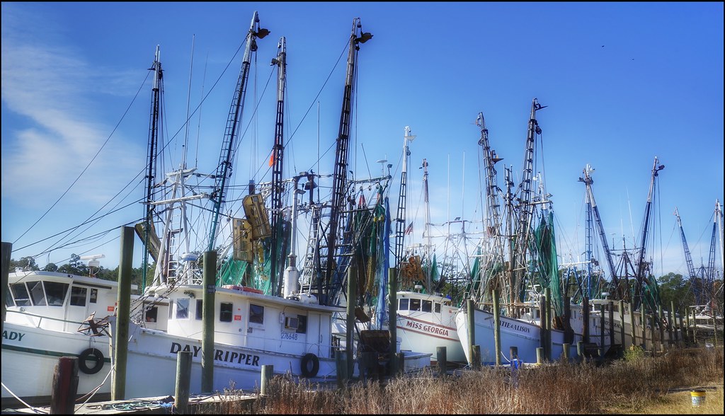 Shrimp boats are a comin🎶....explored McClellanville, SC Beaches