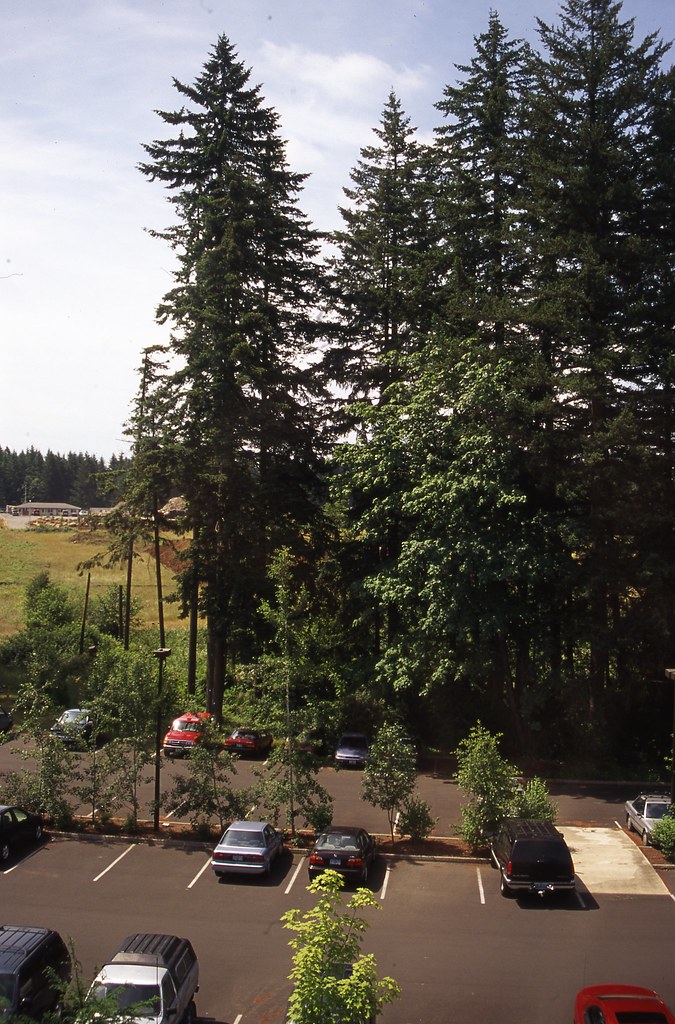2000. Mt. Hood National Forest headquarters employee parki… Flickr