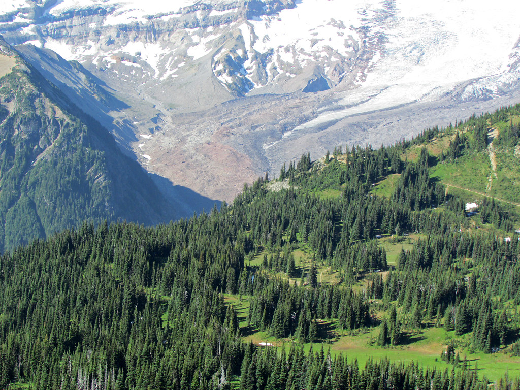 Mt. Rainier NP in WA Mount Rainier National Park in Washin… Jeff