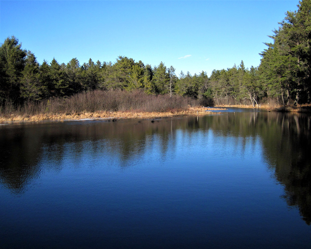 open water on Buck Pond Buck Creek enters the pond at its … Flickr