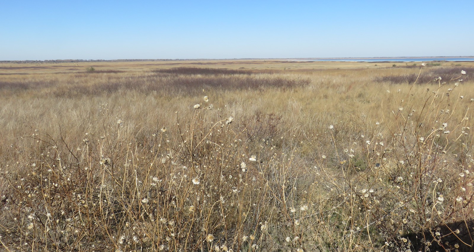 Stafford County, Kansas Flickr