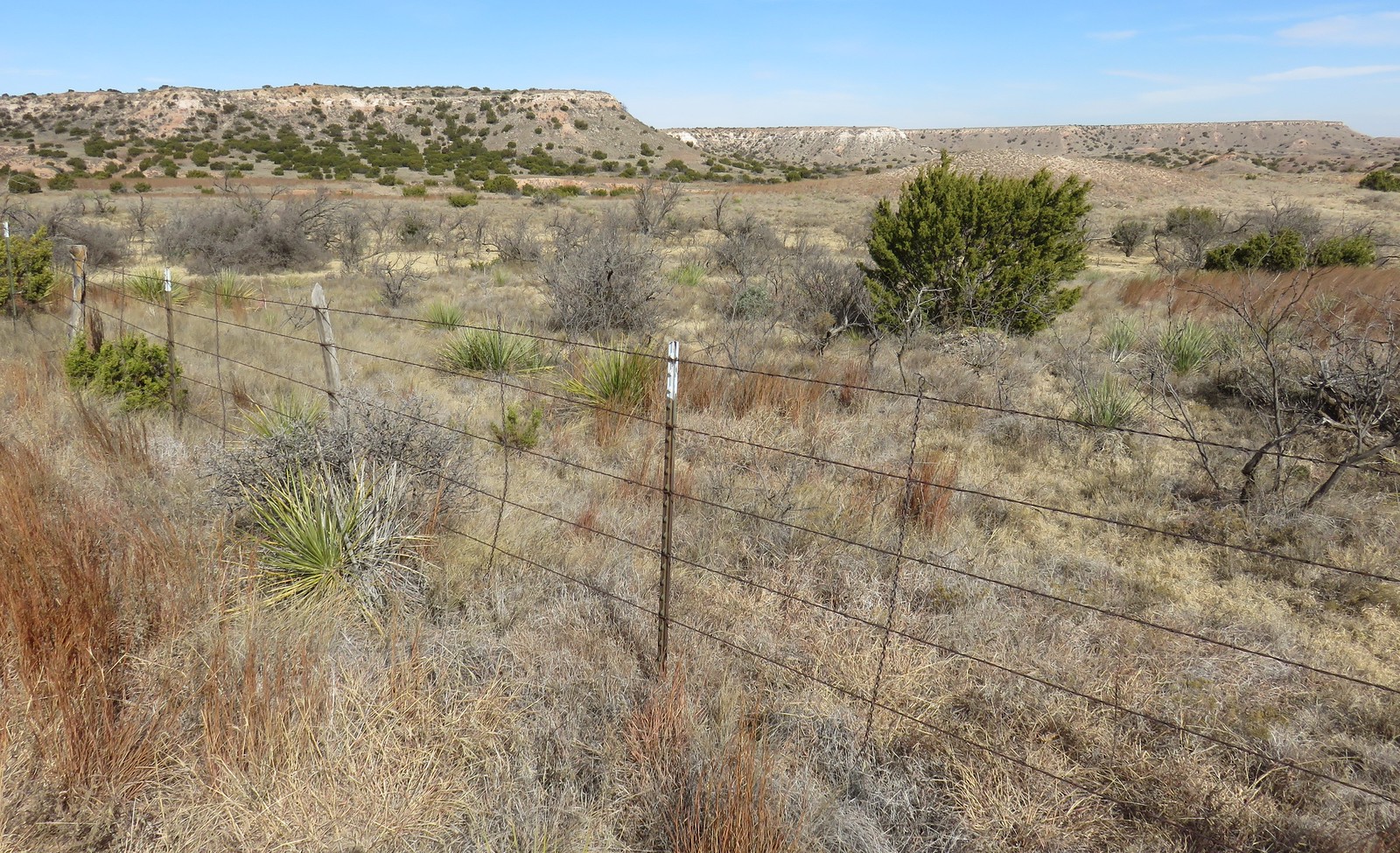 Dickens County, Texas Flickr