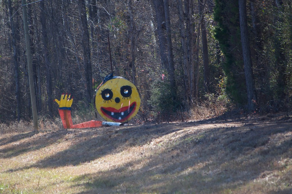 2018 Jan 31 Forkland, Alabama Jim Bird's Hay Bale Art and… Flickr