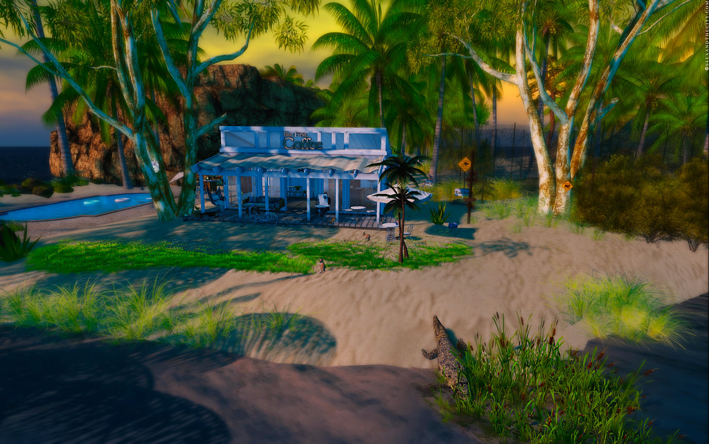 Koala Beach is looking good! Taken at Koala Beach. More in… Flickr