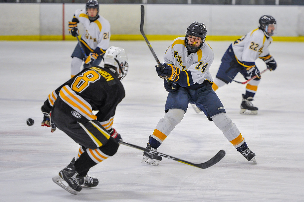 PC vs. Kalamazoo Eagles, Feb 19, 2018 Flickr