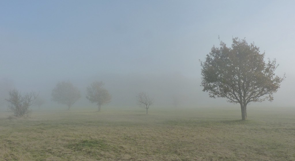 Elevation of Nutfield Road, Nutfield Rd, Redhill RH1, UK Topographic