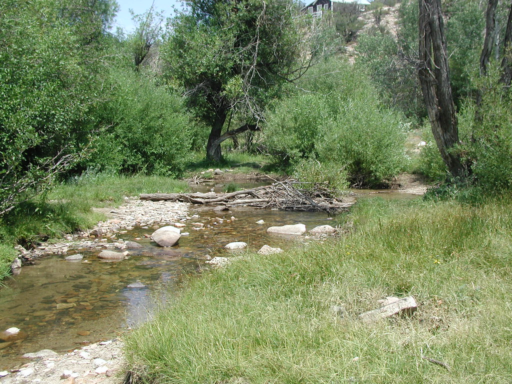Silver City Recreation Site BLMIdaho Flickr