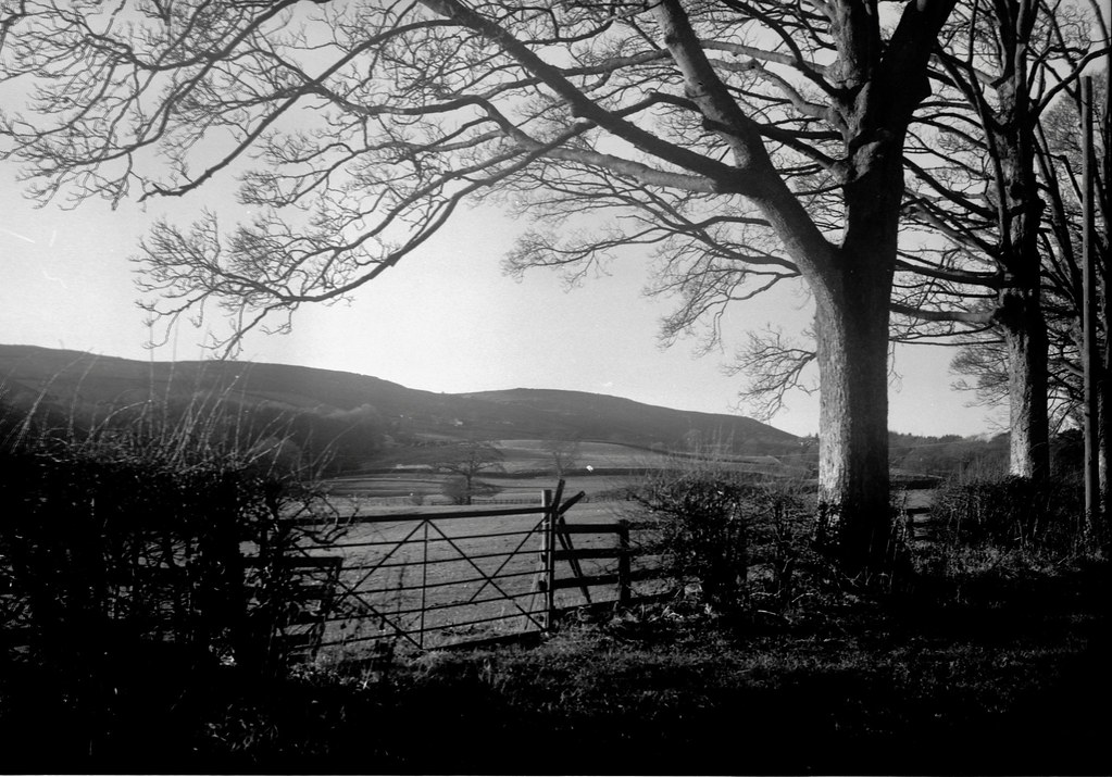 Winter walk Burley in Wharfedale Voitlander Bessa 1938 6x9… Flickr