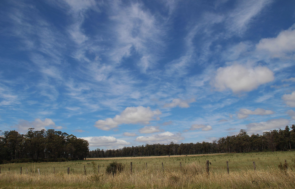 Fields near Hagley, Tasmania While driving along we saw th… Flickr