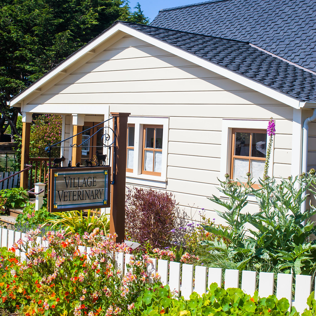 Mendocino Thomas Hawk Flickr