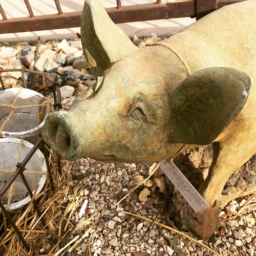 Pig Lawn Ornament Lawn ornament of a pig that I saw at sto… Flickr
