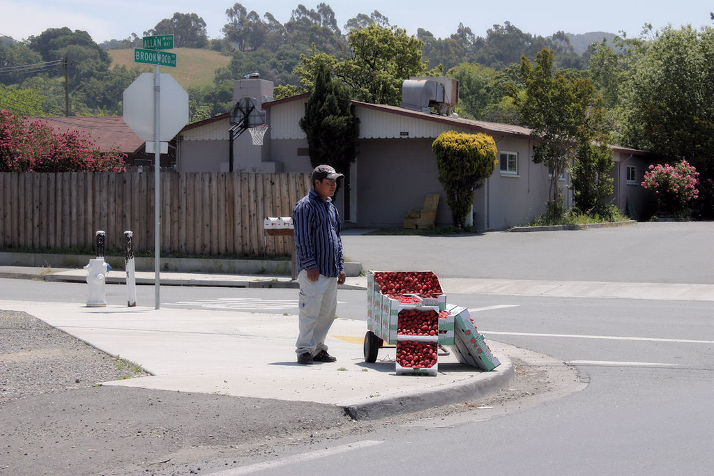 Strawberry Street Vendor A street vendor sells fresh straw… Flickr