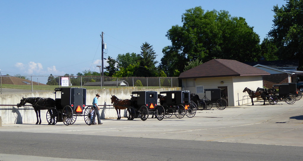 Amish HorseDrawn Buggy Millersburg, OH Awilda Ortiz Flickr