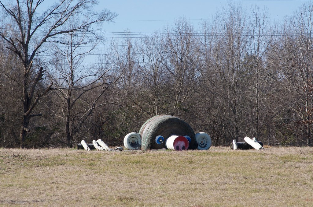 2018 Jan 31 Forkland, Alabama Jim Bird's Hay Bale Art and… Flickr