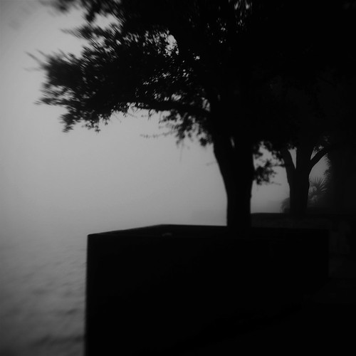 Live Oaks, Biloxi, December 2017 infrar3d Flickr