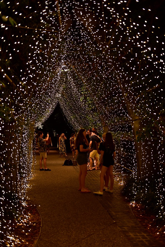 Brisbane Southbank Christmas Lights westernthunderer Flickr