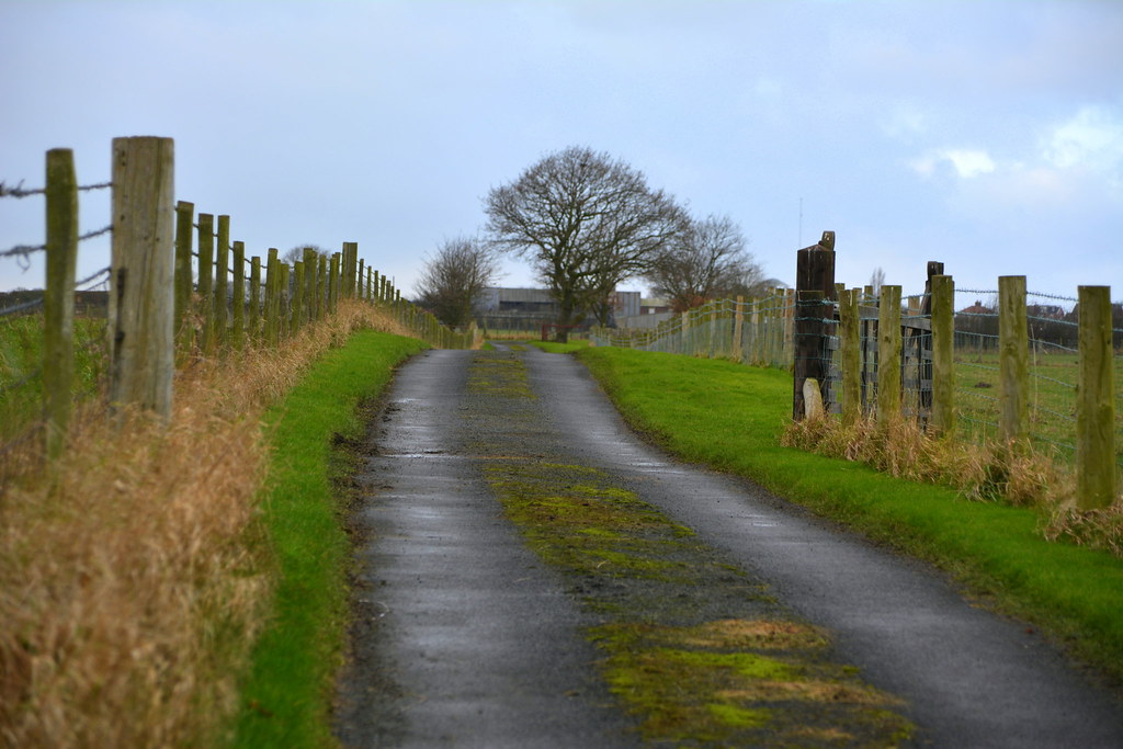 Farnley Wood Site of Farnley Wood long since been cleared Mark's