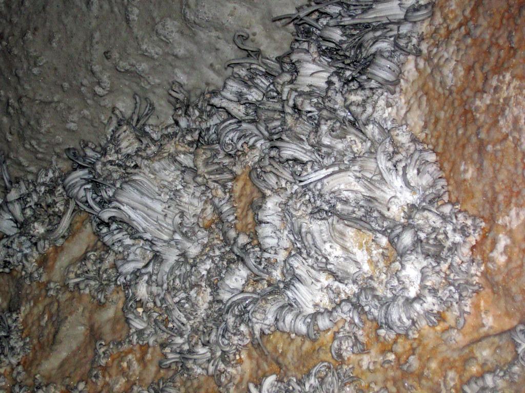 Gypsum speleothem (Cleaveland Avenue, Mammoth Cave, Kentuc… Flickr