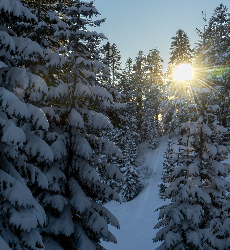 A White Christmas 2023 In The Mountains Us White Christmas on Mt. Ashland Flickr