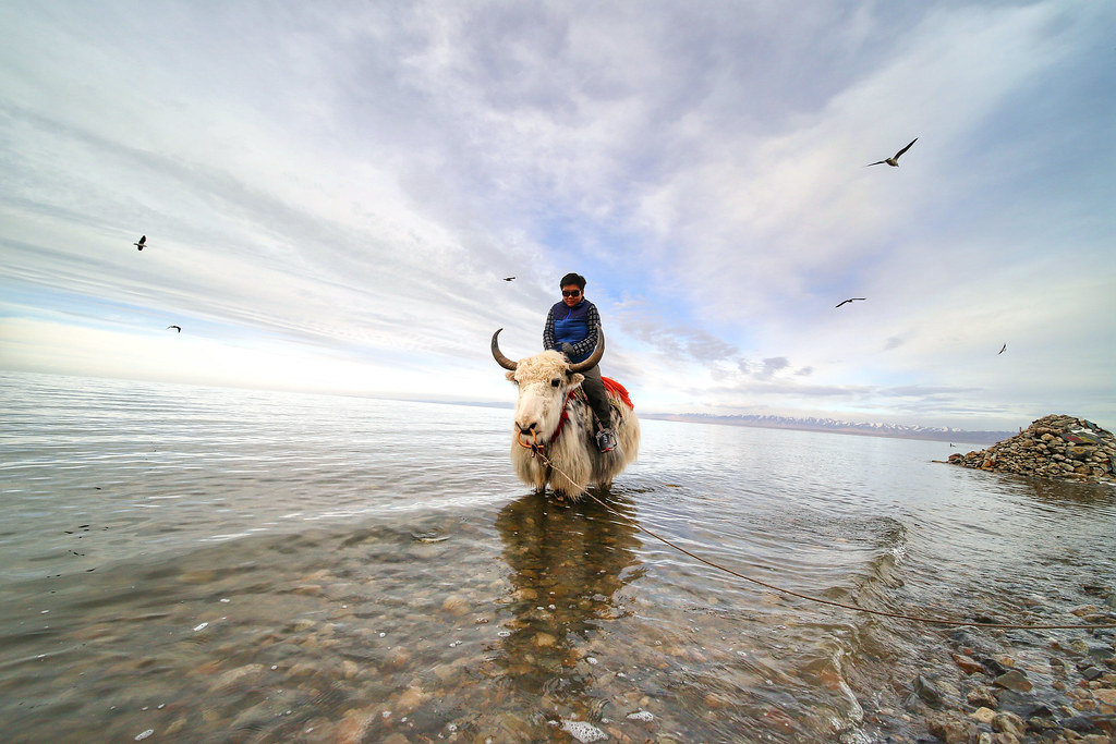 IMG_7052 Qinghai Province, China bfatphoto Flickr