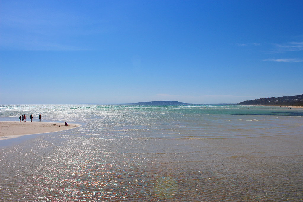 Rosebud beach Tim Flickr