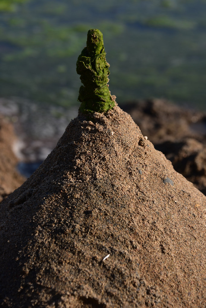 Our Lady of Lake Harriet North Beach On Lake Harriet North… Flickr