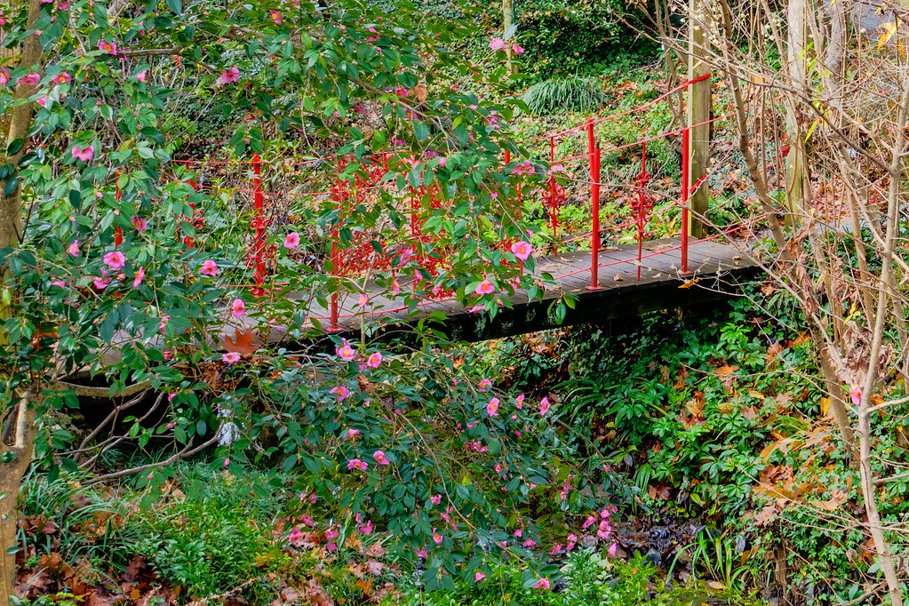 UNCC Botanical Gardens6159_60_61HDR.jpg Weir Flickr