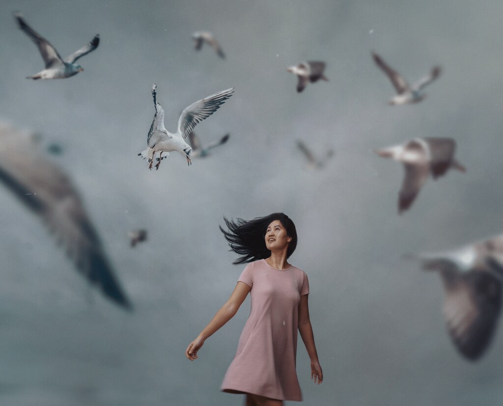 520 Against the Wind “Like a bird, fly against the wind of… Flickr