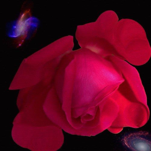 Guelph Ontario Canada Guelph University Arboretum Re… Flickr