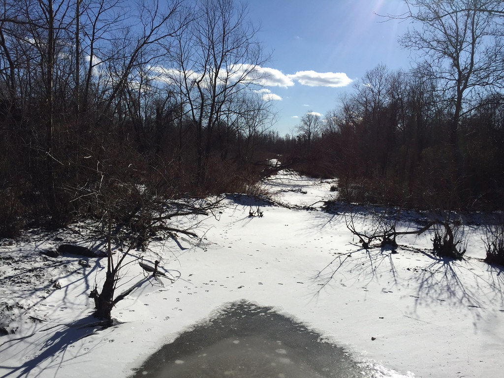 Occoquan Bay National Wildlife Refuge, Woodbridge, Virgini… Flickr