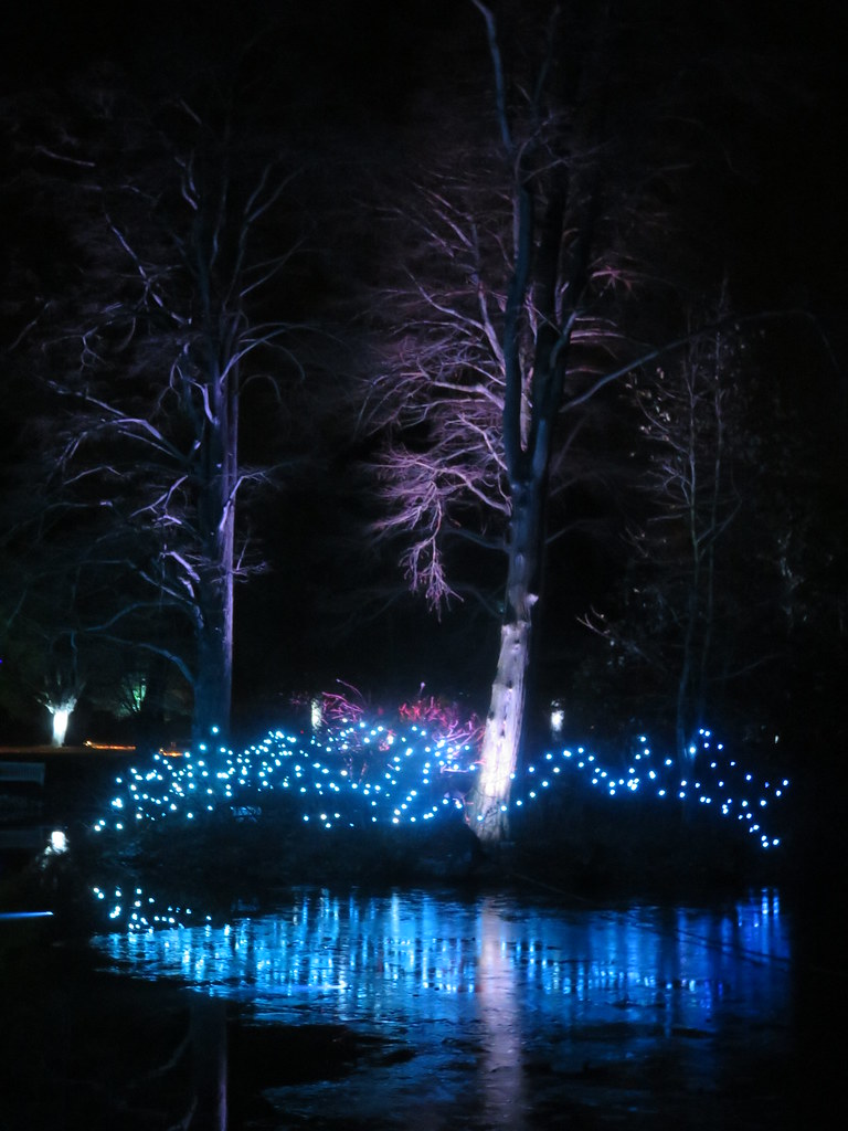 UK London Kew Kew Gardens Christmas lights Trees… Flickr