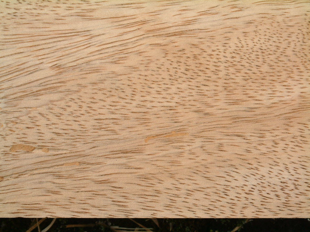 How To Clean Mango Wood Looking Great For 2023