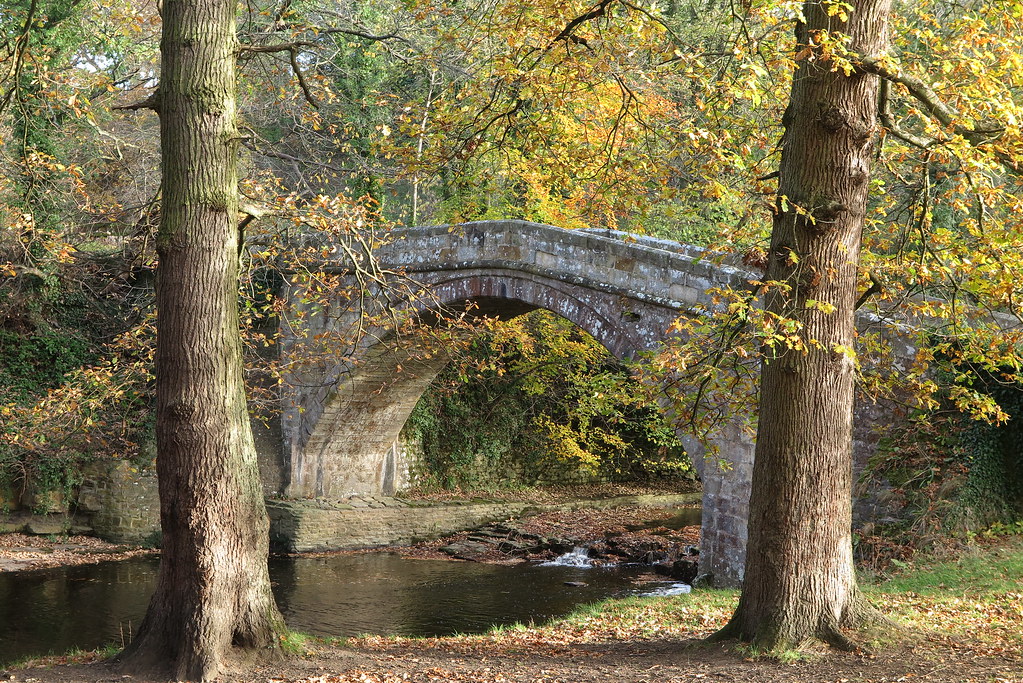 IMG_3102 Dilston castle bridge, devils water. Nr Corbridge… Maurice