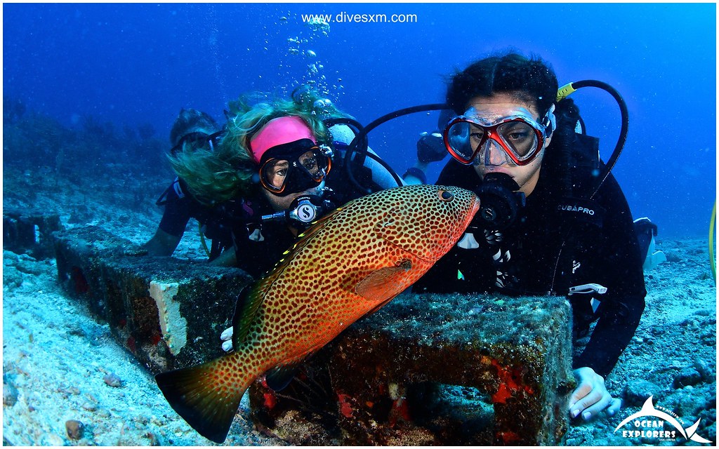 Scuba Diving in Sint Maarten / Saint Martin with Ocean Exp… Flickr