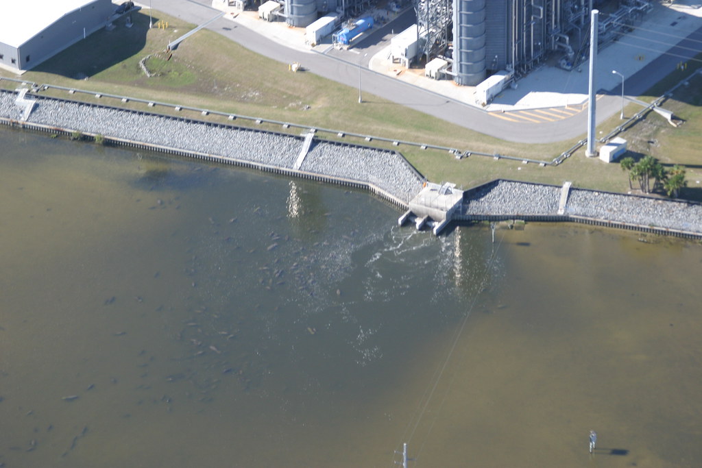 FPL Cape Canaveral Next Generation Clean Energy Center a photo on