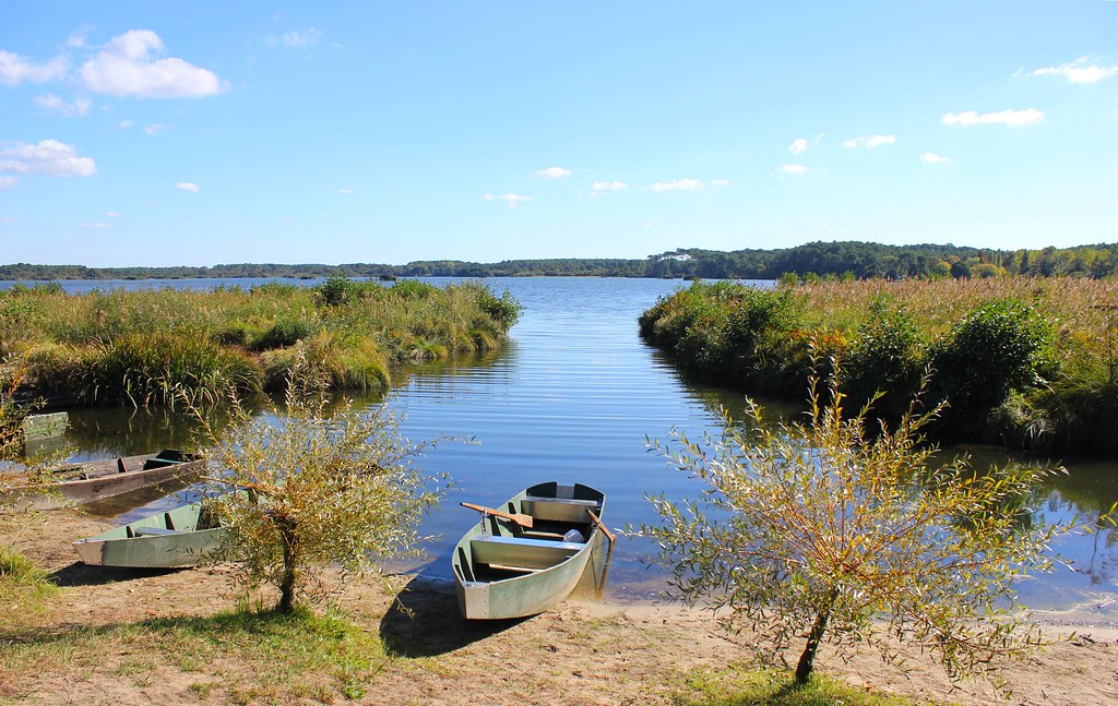 Seignosse Étang blanc & Étang noir Flickr