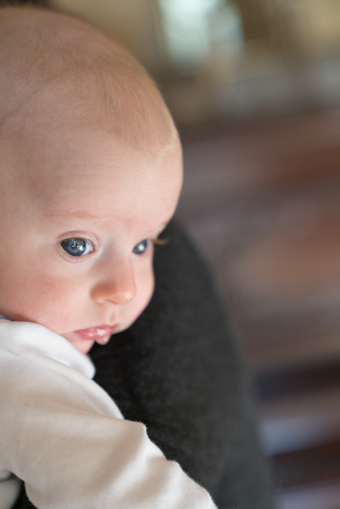 Plaisance3226.jpg Todd Rossnagel Flickr