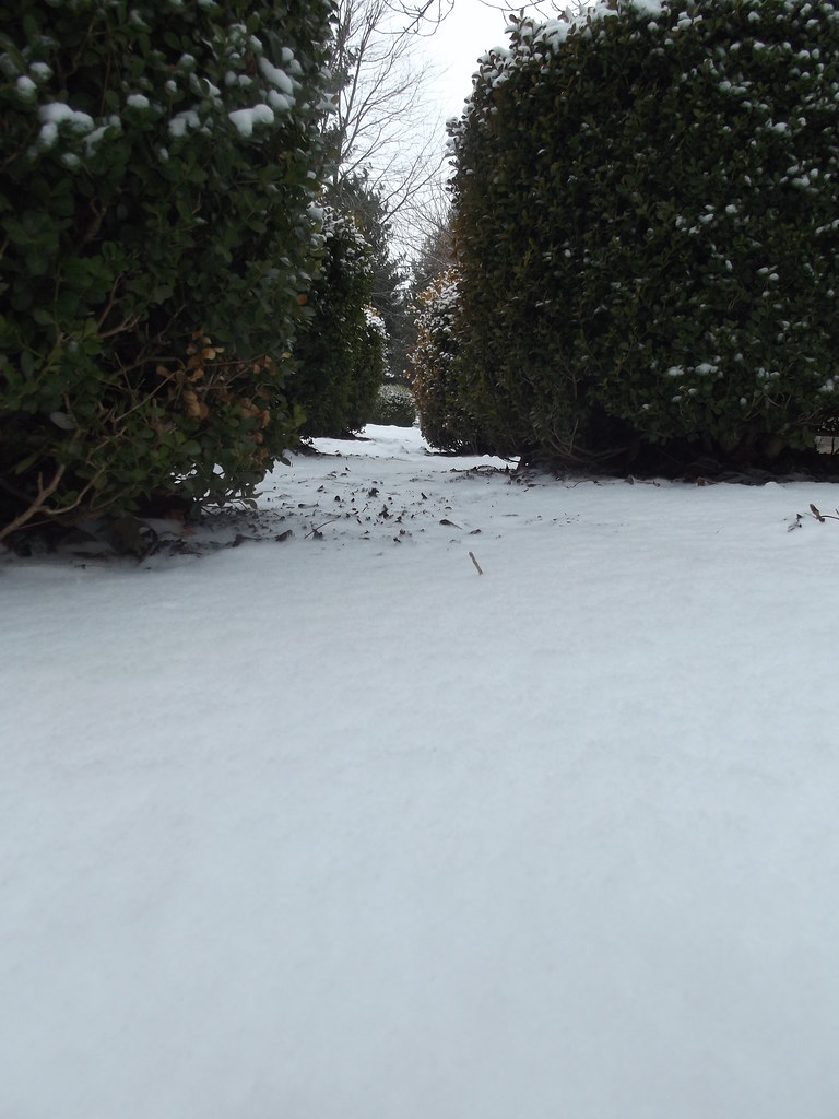 DSCF7415 Rising Sun, DE Jared Hooper Flickr