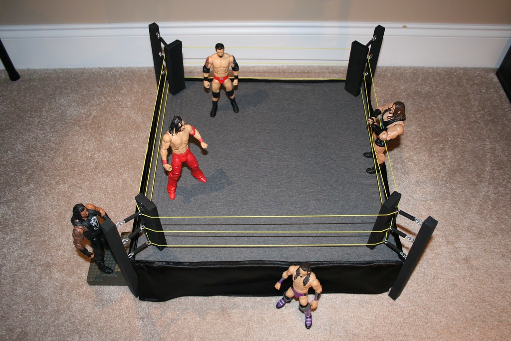 Custom Wrestling Ring Flickr