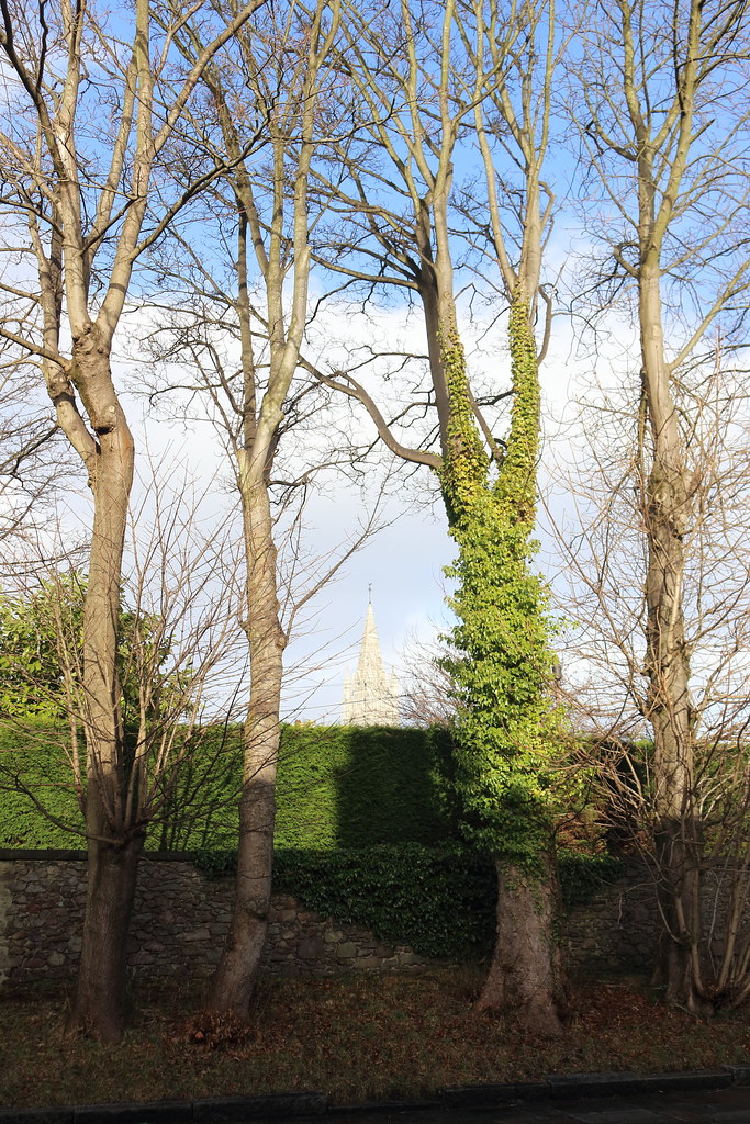 Albert Terrace Gardens,Aberdeen_jan 18_724 Alan Longmuir. Flickr