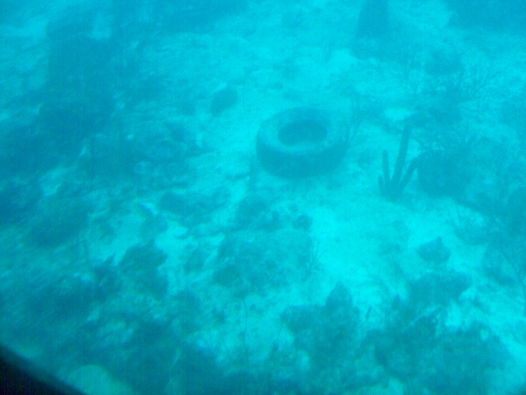 100_1536 Brad Smith Flickr