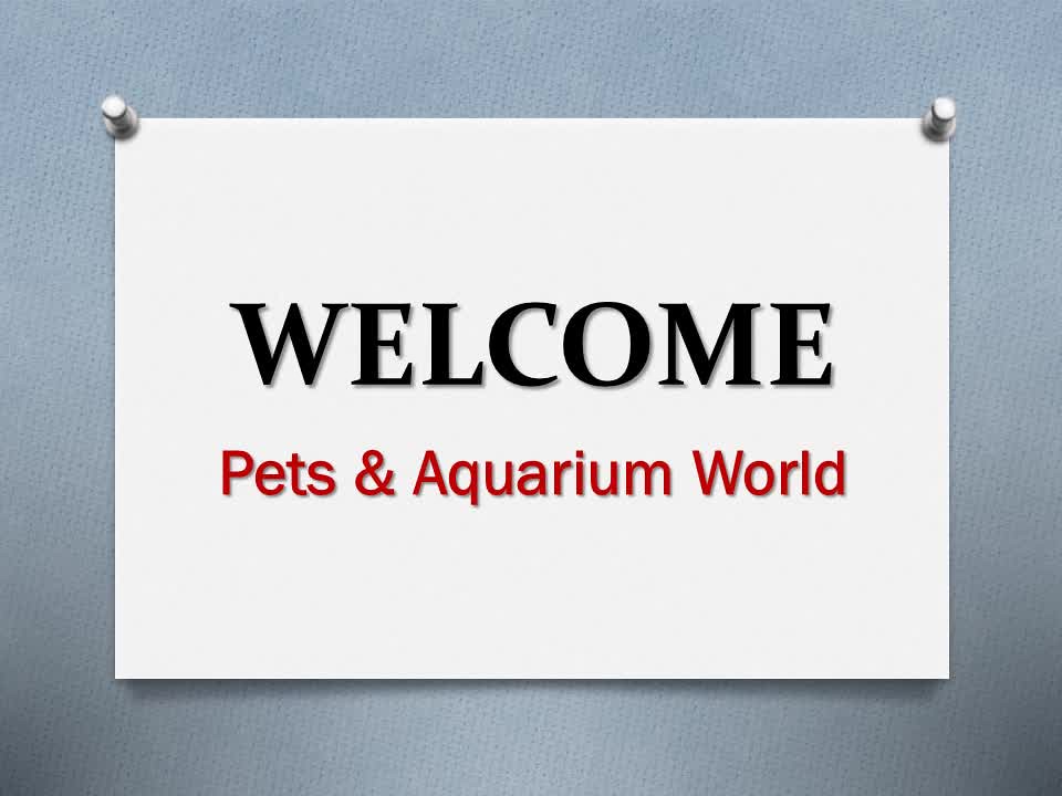 The best Pets & Aquarium World Pets and Aquarium World is … Flickr