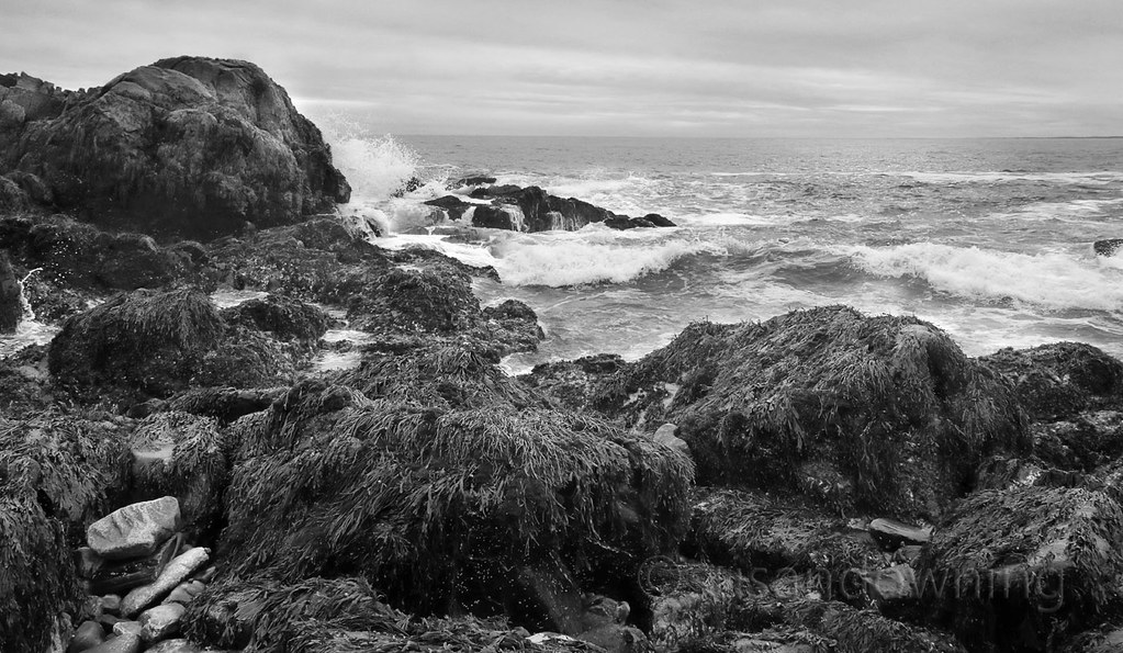 Natures Curves BW Kennebunkport ME Winter surf at low tide… Flickr