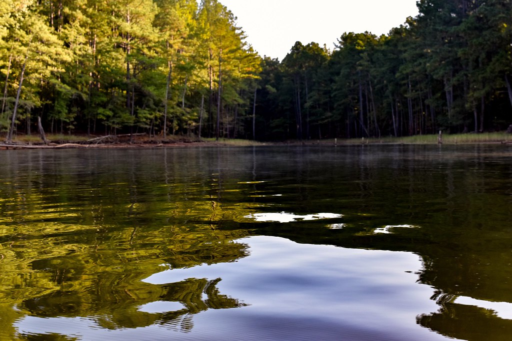 Robeson Creek water studies Near Pittsboro, North Carolina… Flickr