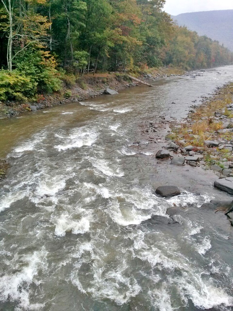 Esopus Creek in the Catskills (M) This is a creative commo… Flickr