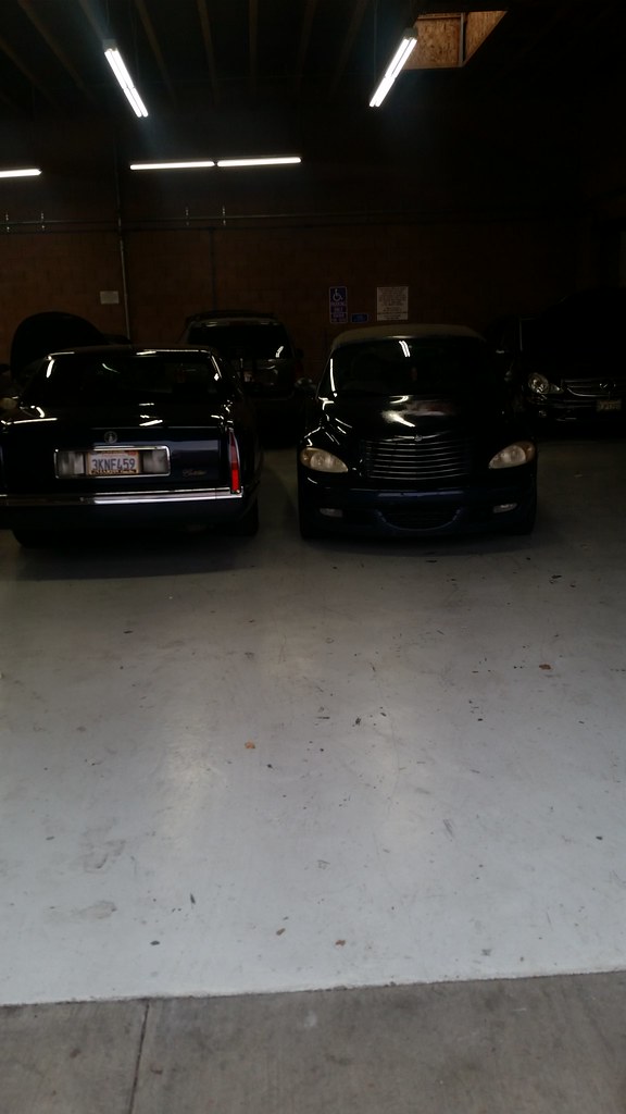 20180116_162637 Mark Benson Flickr