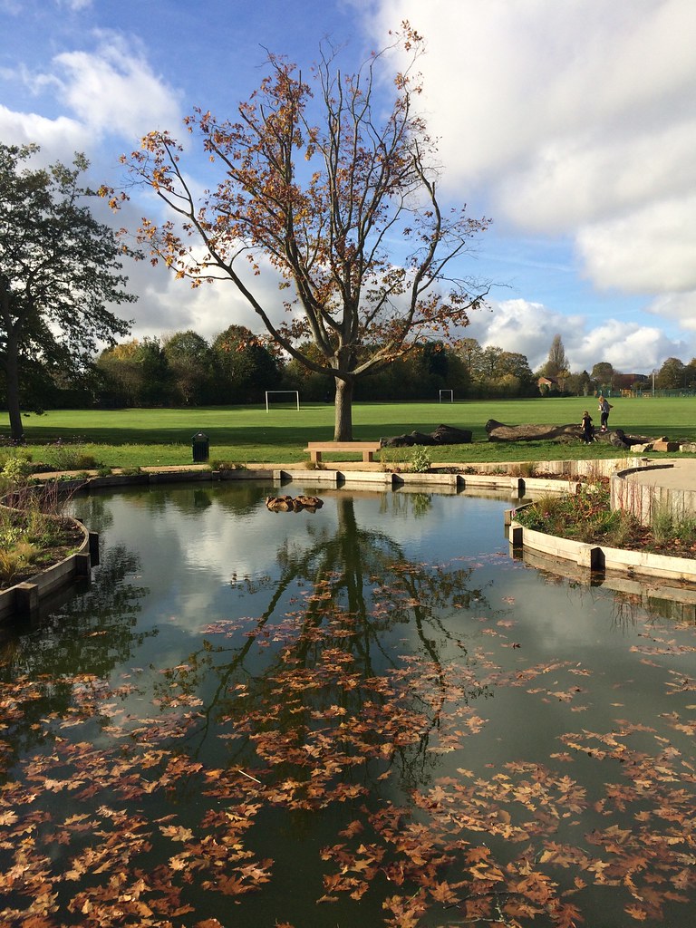 Reflections in Oaken Grove Park The World Outside My Window Flickr
